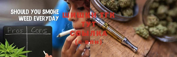 хмурый Ладушкин