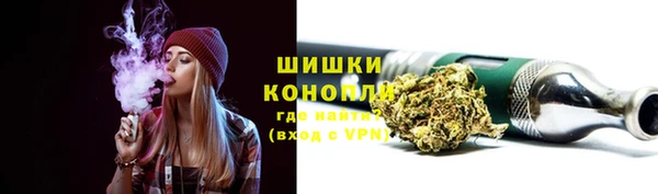 хмурый Ладушкин