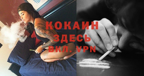 хмурый Ладушкин