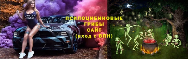 хмурый Ладушкин