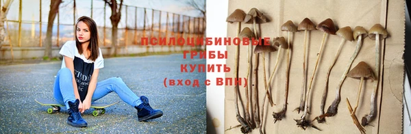 героин Лагань