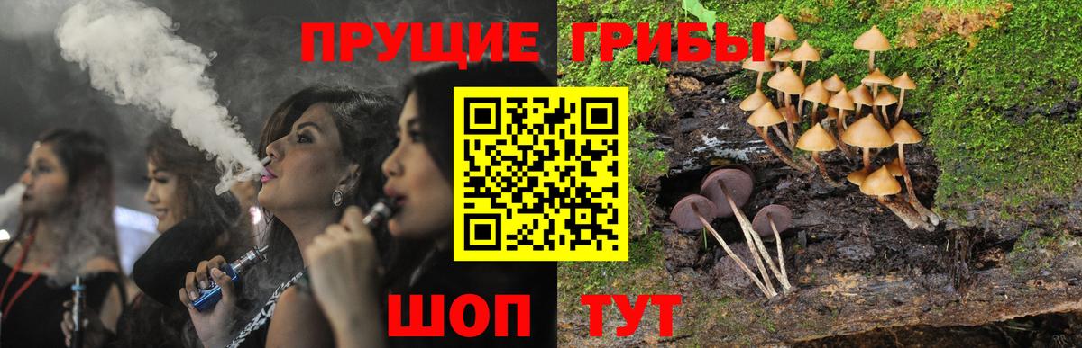 Галлюциногенные грибы GOLDEN TEACHER Родники