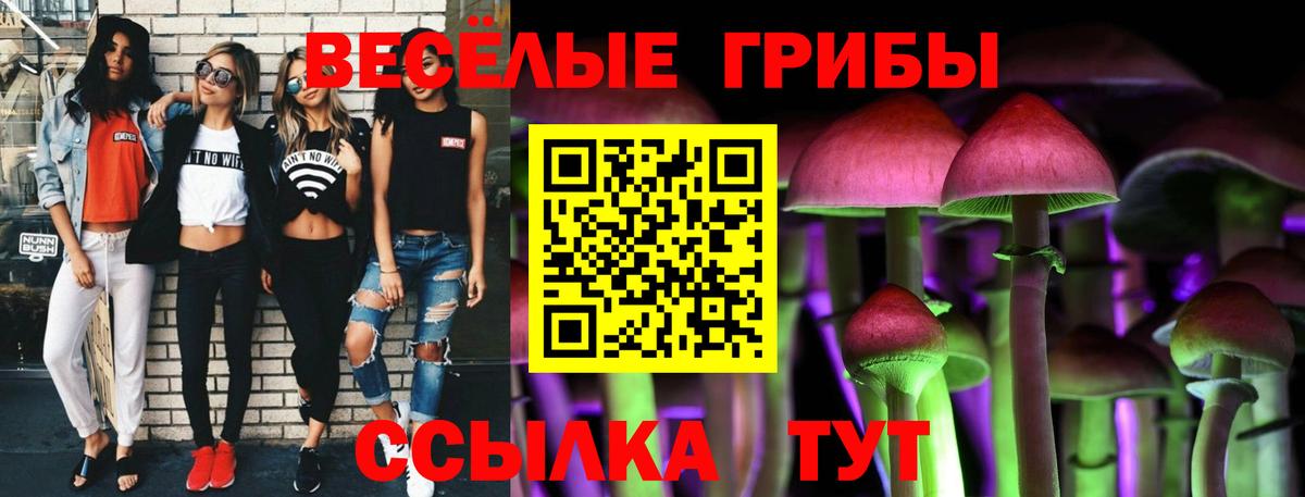 Псилоцибиновые грибы Magic Shrooms  закладки  Родники  Вход с VPN  Галлюциногенные грибы Psilocybe 